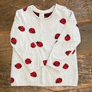 H&M Kids Sweater with Red Ladybug Design